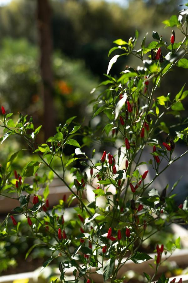 A Natural Retreat Mijas Ngoại thất bức ảnh