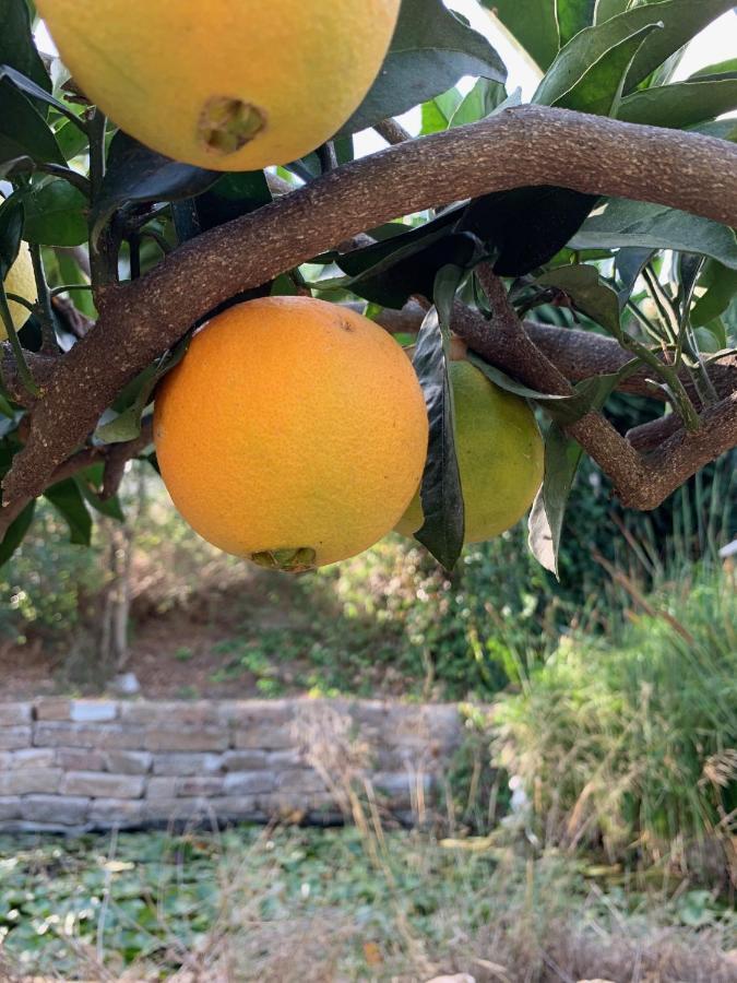 A Natural Retreat Mijas Ngoại thất bức ảnh